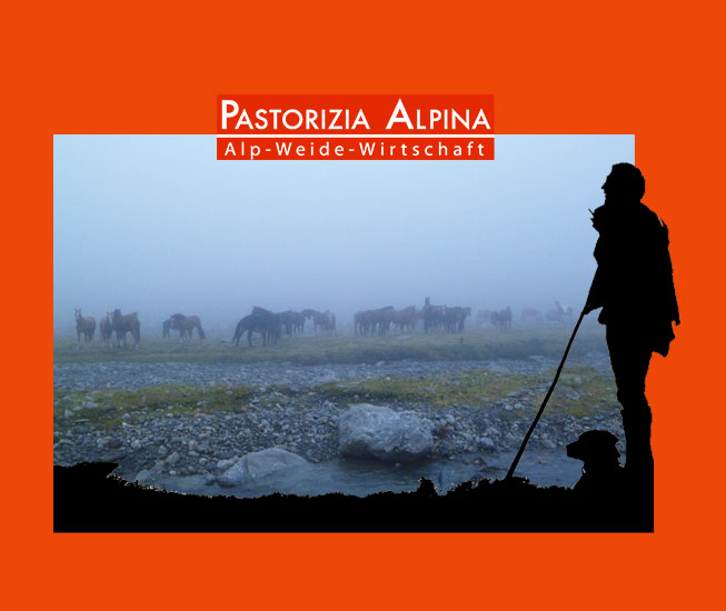 pastorizia alpina